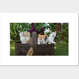 Cute Cats in Basket Posters and Art